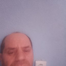 �����, 39 ���, ������