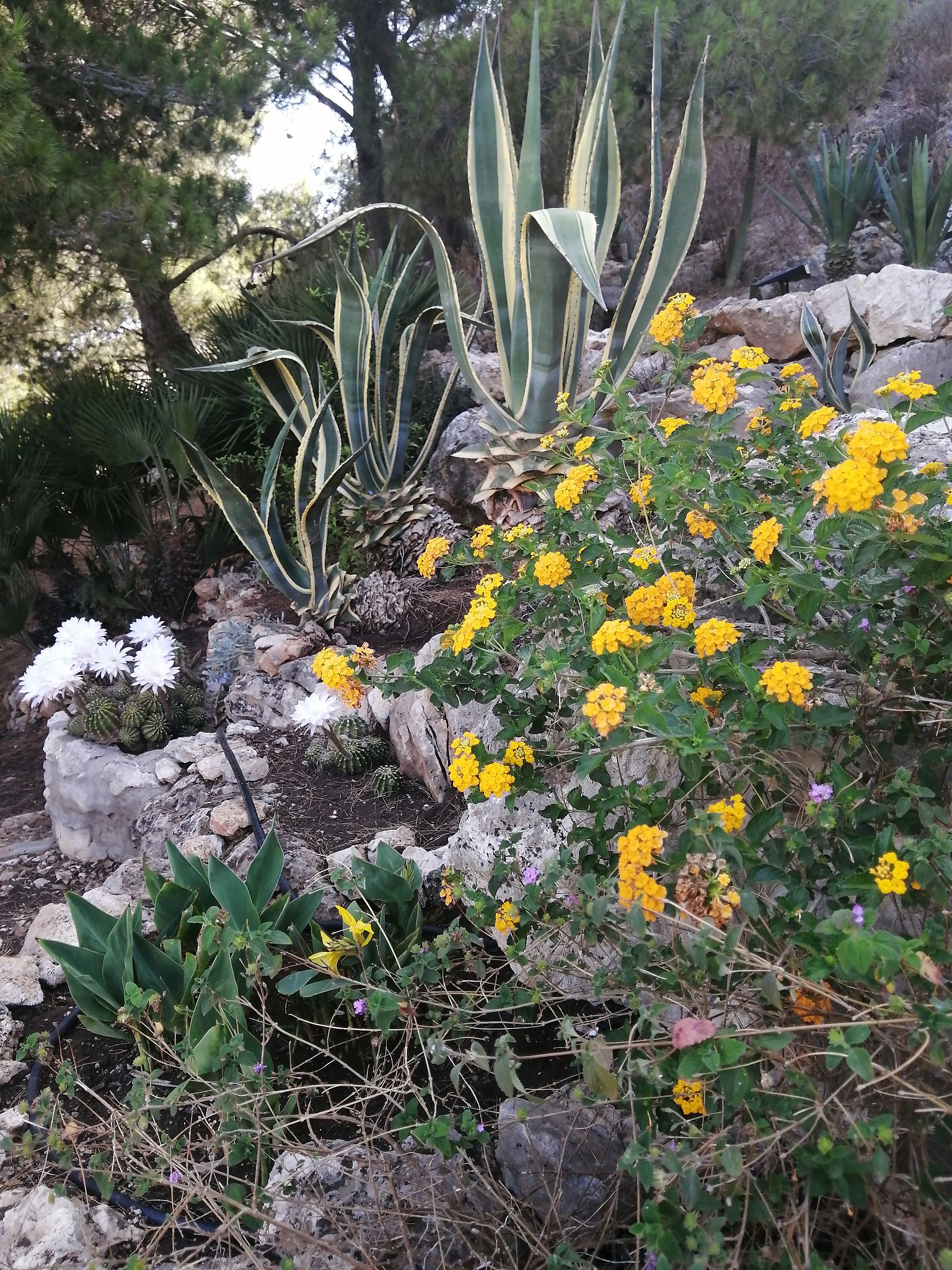 Olga. - 14  2025  02:53