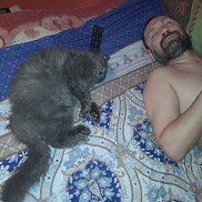 , 51 , 