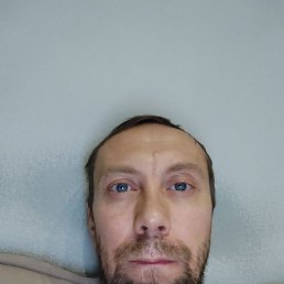 , 41 , 