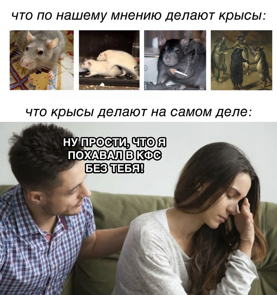 �������� ����������� ����� - 8 ������� 2025 � 10:07