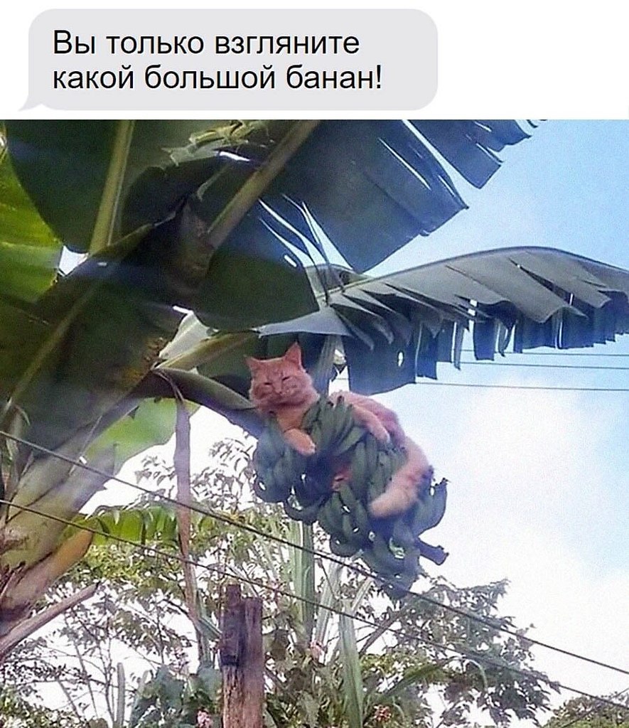    - 11  2024  22:30