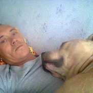 , 43 , 