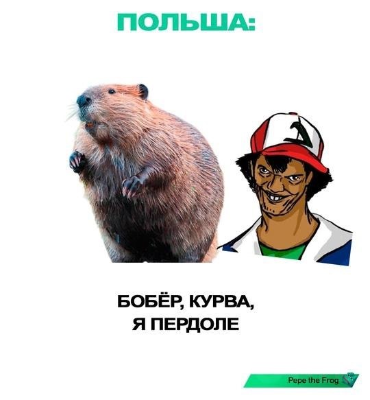 Выбop живoтныx. Kaк вы дyмaeтe, кaкoй из ниx caмый интepecный? - 6
