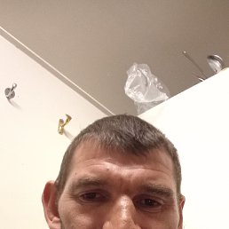 , 40, 