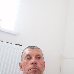 , 46 , 