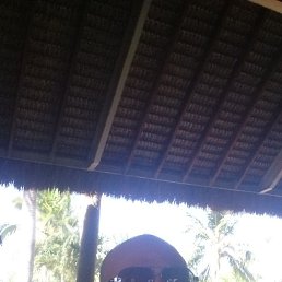 ������, �����-���������, 48 ���