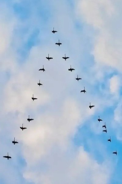 A �� ����� ������ ����� �e���� ����o�?! ������ ���� ���� ������ ������ ��� ���, ������ ����� ...