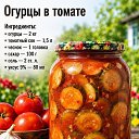 ���� �����, ������, 42 ���� - ��������� 24 ���� 2026 � ������ ������ ��������