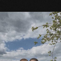 , , 22 