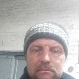 , 41, 