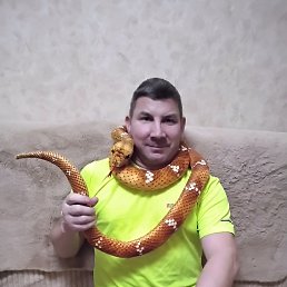 , 48, 
