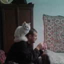 ���� ���, ���������, 44 ���� - ��������� 13 ������ 2023 � ������ ���� ����������