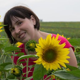 ���� ����������, �����-���������, 58 ��� - ��������� 11 ������ 2026