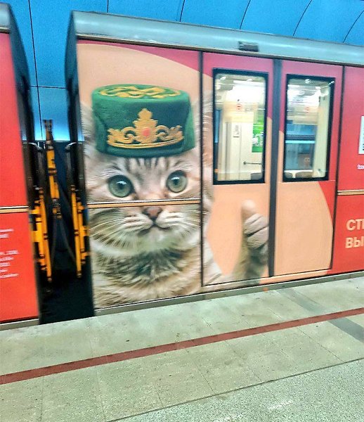 Милота на рельсах: в казанском метро появился поезд с котом в тюбетейке.Если вы думали, что метро — ... - 2