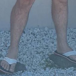 �����, �������, 43 ����