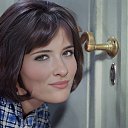 ���� �������, ������, 36 ��� - ��������� 19 ������ 2023 � ������ ������