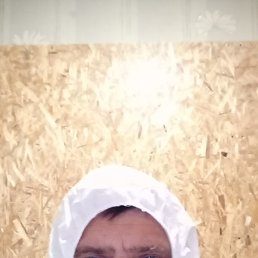 , 53 , 