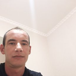 , 41, 