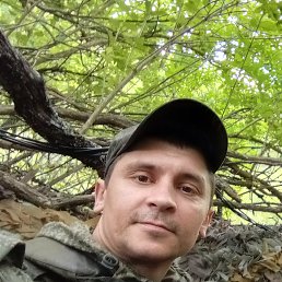 , 43, 