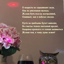 ���� �������� ��������, ������, 60 ��� - ��������� 25 �������� 2024