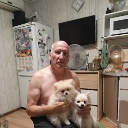 , 58, 