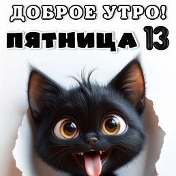 ���� ������, ��������, 42 ���� - ��������� 8 ������ 2026