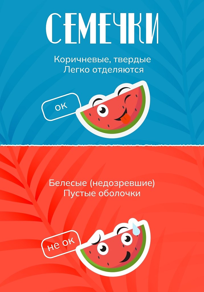 Как выбирать арбузы и не отравиться ими. Сентябрь – сезон арбузов, но не все они одинаково полезны. ... - 4
