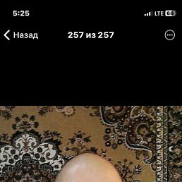 ����, 48 ���, ���������