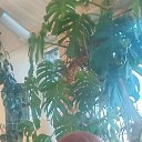 ���� �����, �����-���������, 71 ��� - ��������� 7 ������ 2025 � ������ ���� ����������