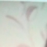 ��������, 44 ����, ������