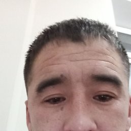 ����, ���������, 40 ���