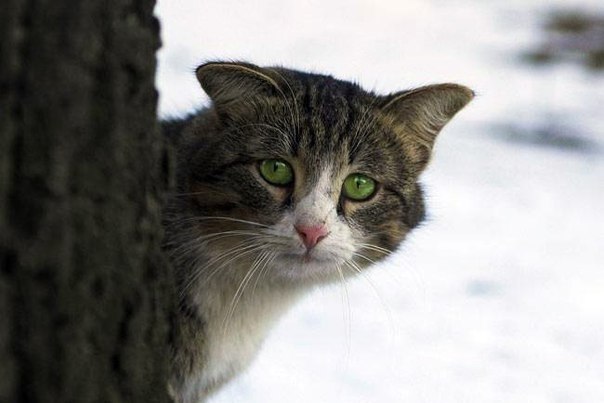 e o o e, e   ,        . ...