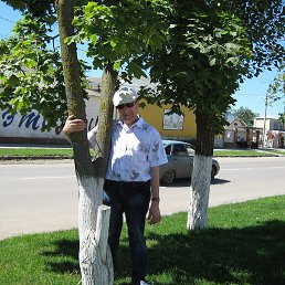 ����, ������-���������, 55 ���