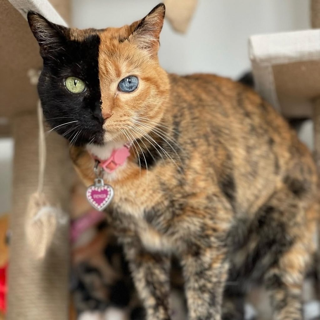     .  16 ,     ,  ,   ... - 6