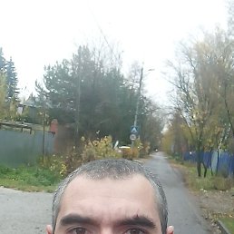, 29, 