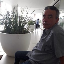 ���� �������, ��������, 55 ��� - ��������� 17 ��� 2025