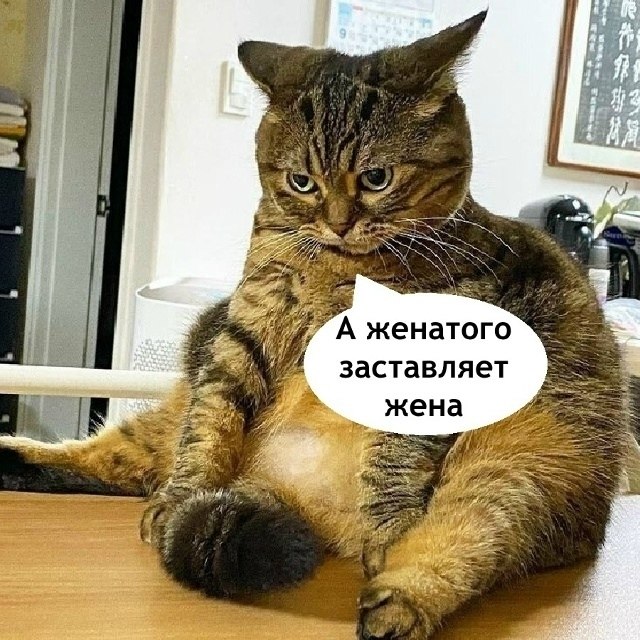 Сане все приходится делать самому - 3