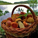 ���� � �������� ���, ������� ������. �� ������� ������ ��������