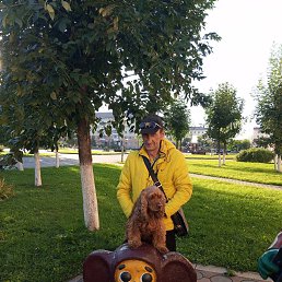 ���� �������, 55 ���, ������