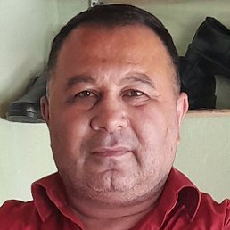 ����, �����-���������, 47 ���