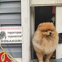 ���� ������ �������, ������, 60 ��� - ��������� 10 ������� 2025