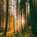 ���� Neizbezhnost�, ������, 49 ��� - ��������� 17 ��� 2026