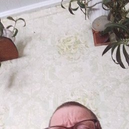 ���������, ������, 53 ����