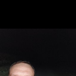 , 38, 