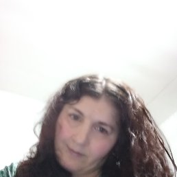 ������ ���������, 44 ����, ����������