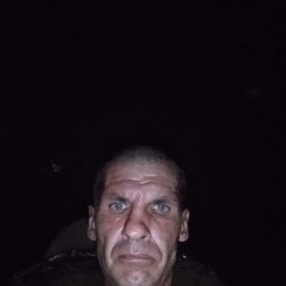 , 41, 