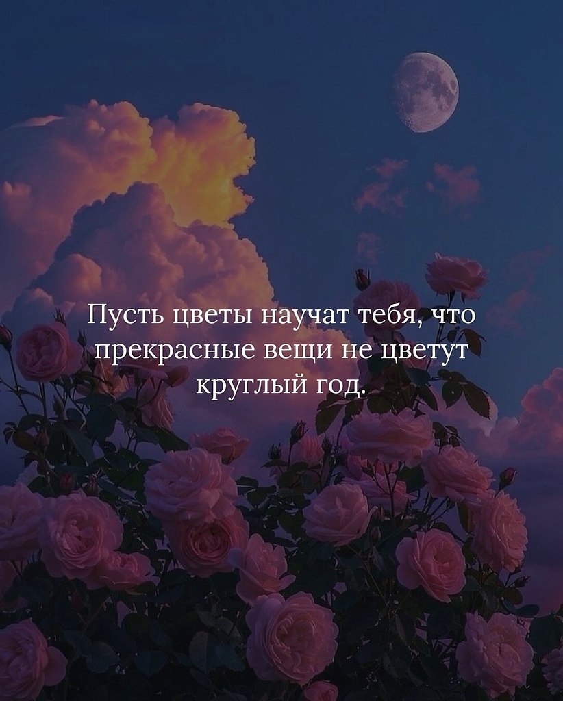 Проявление заботы о себе не подразумевает уклонения от ответственности или отказа от перемен, а ...