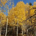 ���� ������, ������� - ��������� 11 ������� 2025 � ������ ���� ����������