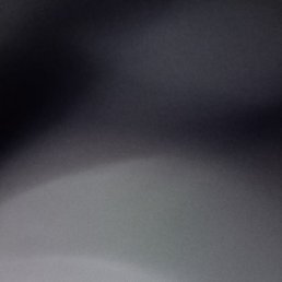 �����, ������, 41 ���